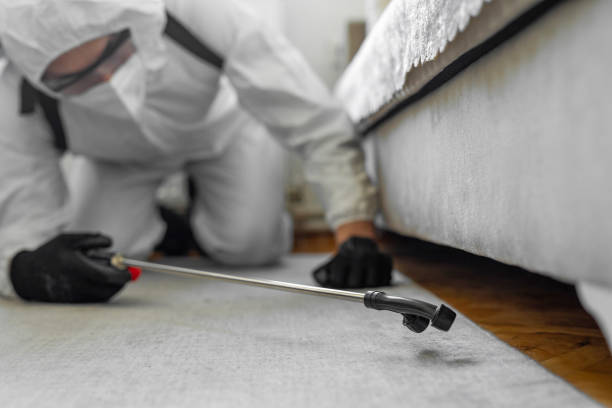 Professional Bed Bug Control technician working in Bellaire, OH