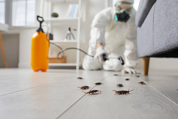 Trusted Rodent Control service in Bellaire, OH - Nex Pest Control